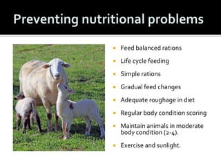    Feed balanced rations
   Life cycle feeding
   Simple rations
   Gradual feed changes
   Adequate roughage in diet
   Regular body condition scoring
   Maintain animals in moderate
    body condition (2-4).
   Exercise and sunlight.
 