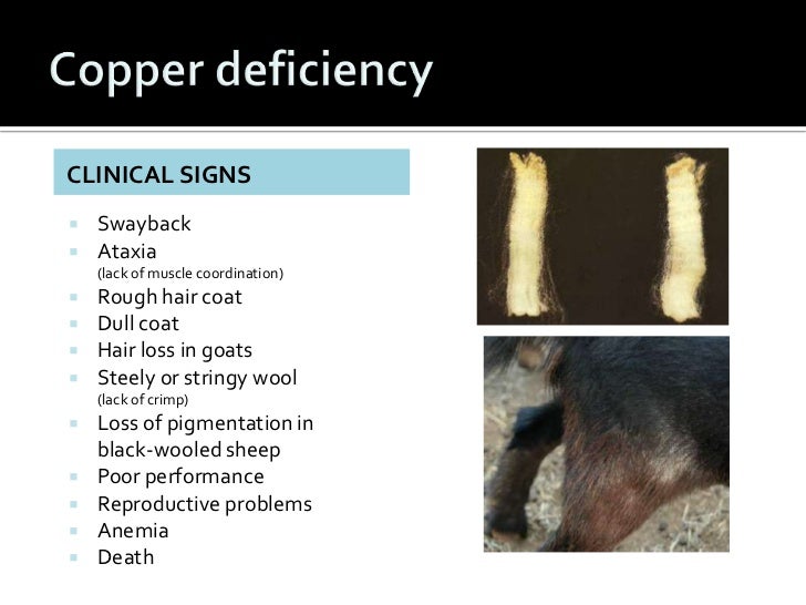 Nutrional disorders nx