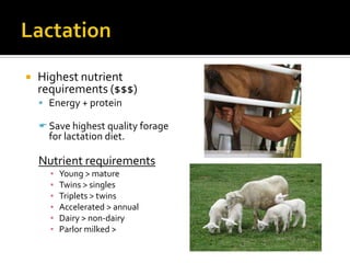   Highest nutrient
    requirements ($$$)
     Energy + protein

     Save highest quality forage
      for lactation ...