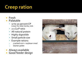    Fresh
   Palatable
     17 to 20 percent CP
         Lower for older lambs, kids
        2:1 Ca:P ratio
        Al...