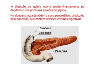 A digestão do quimo
quimo ocorre predominantemente no
duodeno e nas primeiras porções do jejuno.
No duodeno atua também o suco pancreático, produzido
pelo pâncreas, que contém diversas enzimas digestivas.
 