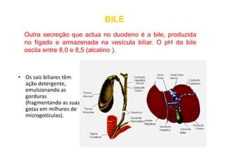 • Os sais biliares têm
Outra secreção que actua no duodeno é a bile, produzida
no fígado e armazenada na vesícula biliar. O pH da bile
oscila entre 8,0 e 8,5 (alcalino ).
BILE
BILE
• Os sais biliares têm
ação detergente,
emulsionando as
gorduras
(fragmentando as suas
gotas em milhares de
microgotículas).
 