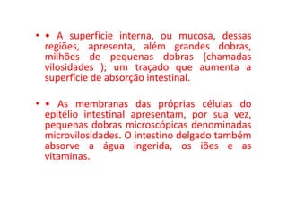 • • A superfície interna, ou mucosa, dessas
regiões, apresenta, além grandes dobras,
milhões de pequenas dobras (chamadas
vilosidades ); um traçado que aumenta a
superfície de absorção intestinal.
• • As membranas das próprias células do
• • As membranas das próprias células do
epitélio intestinal apresentam, por sua vez,
pequenas dobras microscópicas denominadas
microvilosidades. O intestino delgado também
absorve a água ingerida, os iões e as
vitaminas.
 