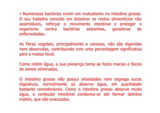 • Numerosas bactérias vivem em mutualismo no intestino grosso.
O seu trabalho consiste em dissolver os restos alimentícios não
assimiláveis, reforçar o movimento intestinal e proteger o
organismo contra bactérias estranhas, geradoras de
enfermidades.
As fibras vegetais, principalmente a celulose, não são digeridas
nem absorvidas, contribuindo com uma percentagem significativa
para a massa fecal.
Como retêm água, a sua presença torna as fezes macias e fáceis
de serem eliminadas.
O intestino grosso não possui vilosidades nem segrega sucos
digestivos, normalmente só absorve água, em quantidade
bastante consideráveis. Como o intestino grosso absorve muita
água, o conteúdo intestinal condensa-se até formar detritos
inúteis, que são evacuados.
 