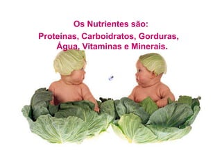 Os Nutrientes são:
Proteínas, Carboidratos, Gorduras,
Água, Vitaminas e Minerais.
 
