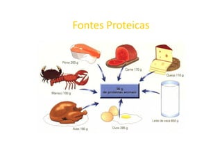 Fontes Proteicas
 