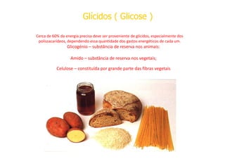 Cerca de 60% da energia precisa deve ser proveniente de glícidos, especialmente dos
polissacarídeos, dependendo essa quantidade dos gastos energéticos de cada um.
Glicogénio – substância de reserva nos animais:
Amido – substância de reserva nos vegetais;
Celulose – constituída por grande parte das fibras vegetais
Glícidos ( Glicose )
Glícidos ( Glicose )
 