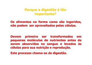 Os alimentos na forma como são ingeridos,
não podem ser aproveitados pelas células.
Porque a digestão é tão
Porque a digestão é tão
importante?
importante?
Devem primeiro ser transformados em
pequenas moléculas de nutrientes antes de
serem absorvidos no sangue e levados às
células para sua nutrição e reprodução.
Este processo chama-se de digestão
digestão.
.
 