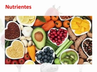 Nutrientes
 