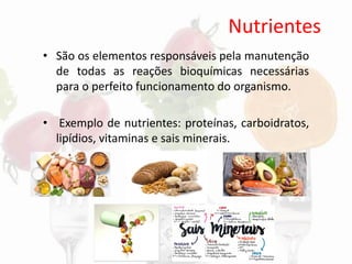 Nutrientes
• São os elementos responsáveis pela manutenção
de todas as reações bioquímicas necessárias
para o perfeito funcionamento do organismo.
• Exemplo de nutrientes: proteínas, carboidratos,
lipídios, vitaminas e sais minerais.
 