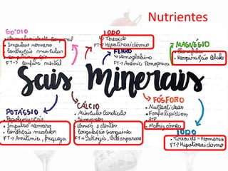 Nutrientes
 