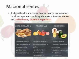 Macronutrientes
• A digestão dos macronutrientes ocorre no intestino,
local em que eles serão quebrados e transformados
em carboidratos; proteínas e gorduras.
 