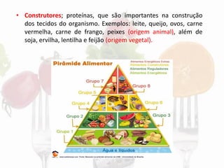 • Construtores; proteínas, que são importantes na construção
dos tecidos do organismo. Exemplos: leite, queijo, ovos, carne
vermelha, carne de frango, peixes (origem animal), além de
soja, ervilha, lentilha e feijão (origem vegetal).
 