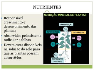 NUTRIENTES
 Responsável
crescimento e
desenvolvimento das
plantas;
 Absorvidos pelo sistema
radicular e folhas
 Devem estar disponíveis
na solução do solo para
que as plantas possam
absorvê-los
 