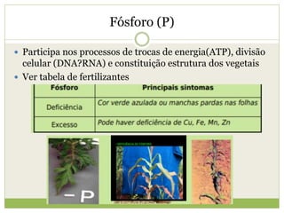 Fósforo (P)
 Participa nos processos de trocas de energia(ATP), divisão
celular (DNA?RNA) e constituição estrutura dos vegetais
 Ver tabela de fertilizantes
 