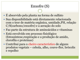 Enxofre (S)
 É absorvido pela planta na forma de sulfato
 Sua disponibilidade está diretamente relacionada
com o teor de matéria orgânica, umidade,PH, relação
C/S(carbono/enxofre) e a aeração do solo
 Faz parte da estrutura de aminoácidos e vitaminas
 Está envolvido em processo fisiológico
(fotossíntese,respiração e a produção de amido,
clorofila e proteínas)
 Contribui para o cheiro característico de alguns
produtos vegetais – cebola, alho, couve-flor, brócolis
e repolh0
 