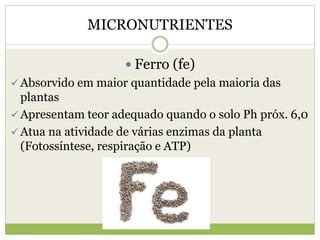MICRONUTRIENTES
 Ferro (fe)
 Absorvido em maior quantidade pela maioria das
plantas
 Apresentam teor adequado quando o solo Ph próx. 6,0
 Atua na atividade de várias enzimas da planta
(Fotossíntese, respiração e ATP)
 