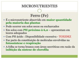 MICRONUTRIENTES
Ferro (Fe)
 É o micronutriente absorvido em maior quantidade
pela maioria das plantas
 Pode ocorrer em solos secos ou encharcados
 Em solos com PH próximo à 6,0 – apresentam em
teores adequados
 Com PH ácido : Disponibilidade excessiva - TOXIDEZ
 Faz parte da constituição de moléculas envolvidas na
fotossíntese e respiração
 A folha se torna branca com áreas necróticas em razão da
inibição da síntese de clorofila
 