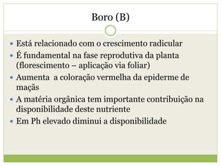 Boro (B)
 Está relacionado com o crescimento radicular
 É fundamental na fase reprodutiva da planta
(florescimento – aplicação via foliar)
 Aumenta a coloração vermelha da epiderme de
maçãs
 A matéria orgânica tem importante contribuição na
disponibilidade deste nutriente
 Em Ph elevado diminui a disponibilidade
 