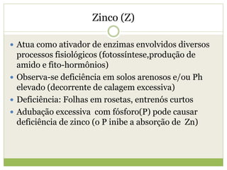 Zinco (Z)
 Atua como ativador de enzimas envolvidos diversos
processos fisiológicos (fotossíntese,produção de
amido e fito-hormônios)
 Observa-se deficiência em solos arenosos e/ou Ph
elevado (decorrente de calagem excessiva)
 Deficiência: Folhas em rosetas, entrenós curtos
 Adubação excessiva com fósforo(P) pode causar
deficiência de zinco (o P inibe a absorção de Zn)
 