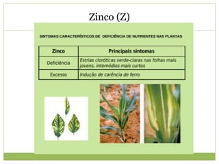 Zinco (Z)
 