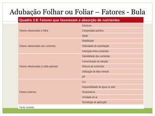 Adubação Folhar ou Foliar – Fatores - Bula
 