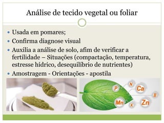 Análise de tecido vegetal ou foliar
 Usada em pomares;
 Confirma diagnose visual
 Auxilia a análise de solo, afim de verificar a
fertilidade – Situações (compactação, temperatura,
estresse hídrico, desequilíbrio de nutrientes)
 Amostragem - Orientações - apostila
 