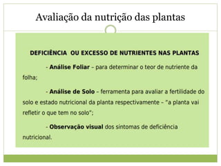 Avaliação da nutrição das plantas
 