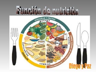 Función de nutrición Diego y Paz 