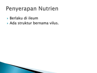  Berlaku di ileum
 Ada struktur bernama vilus.
 