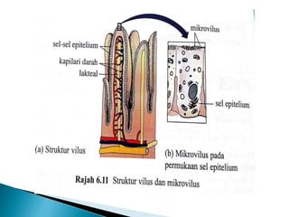 Nutrisi