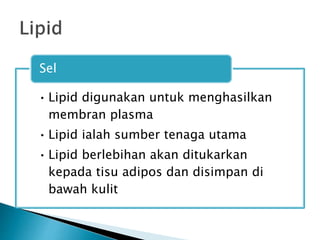 • Lipid digunakan untuk menghasilkan
membran plasma
• Lipid ialah sumber tenaga utama
• Lipid berlebihan akan ditukarkan
kepada tisu adipos dan disimpan di
bawah kulit
Sel
 