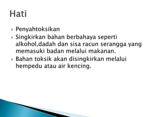  Penyahtoksikan
 Singkirkan bahan berbahaya seperti
alkohol,dadah dan sisa racun serangga yang
memasuki badan melalui makanan.
 Bahan toksik akan disingkirkan melalui
hempedu atau air kencing.
 