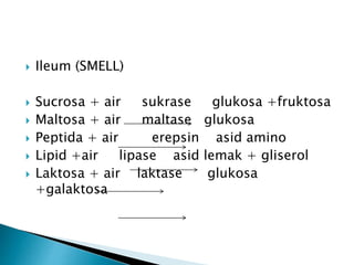  Ileum (SMELL)
 Sucrosa + air sukrase glukosa +fruktosa
 Maltosa + air maltase glukosa
 Peptida + air erepsin asid amino
 Lipid +air lipase asid lemak + gliserol
 Laktosa + air laktase glukosa
+galaktosa
 