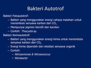 Nutrisi dan Media.pptx