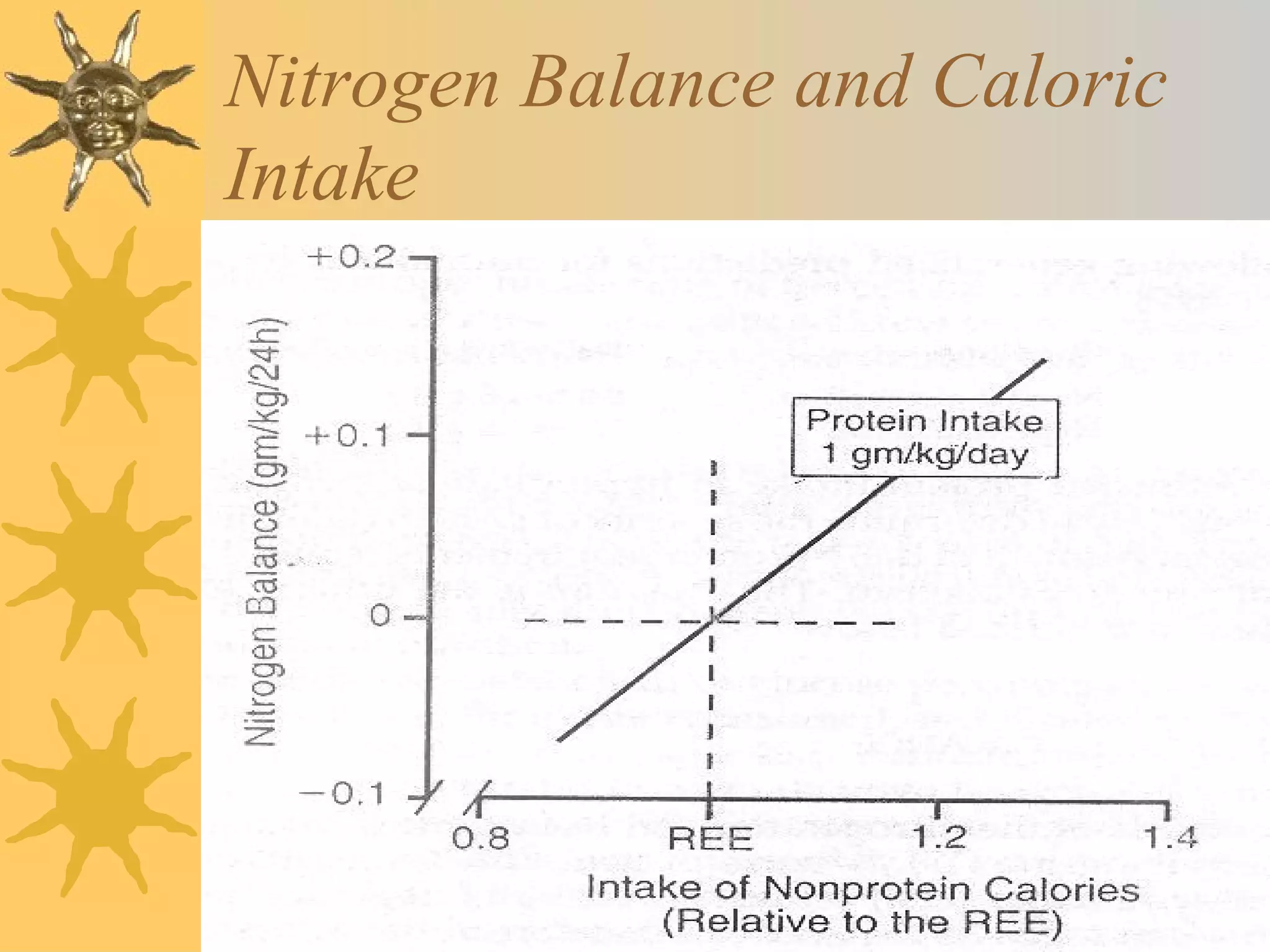 Nitrogen Balance and Caloric 
Intake 
 