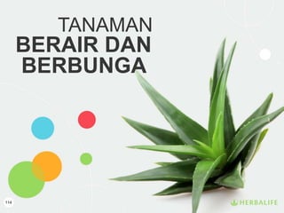 114
TANAMAN
BERAIR DAN
BERBUNGA
 