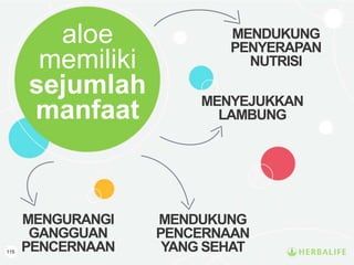 115
aloe
memiliki
sejumlah
manfaat
MENGURANGI
GANGGUAN
PENCERNAAN
MENDUKUNG
PENYERAPAN
NUTRISI
MENDUKUNG
PENCERNAAN
YANG SEHAT
MENYEJUKKAN
LAMBUNG
 