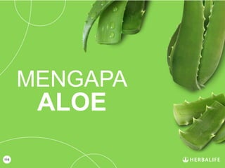116
MENGAPA
ALOE
 