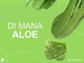 118
DI MANA
ALOE
 
