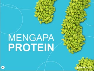 MENGAPA
PROTEIN
47
 