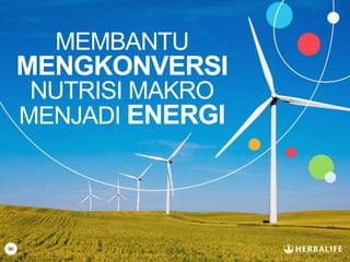 90
MEMBANTU
MENGKONVERSI
NUTRISI MAKRO
MENJADI ENERGI
 