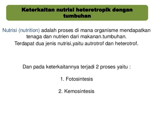 Nutrisi heteretropik Nutrisi heteretropik