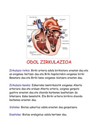 ODOL ZIRKULAZIOA 
Zirkulazio txikia: Biriki arteria odola birikietara eroaten dau eta 
an oxigenoa hartzen dau eta Briki kapilarrekin oxigenoa biriki 
Benatara doa eta Biriki bena oxigenoa biotzara eroaten dau. 
Zirkulazio handia: Ezkerreko bentrikulutik oxigenoa Ahorta 
arteriara doa eta orduan Ahorta arteria, oxignoa gorputz 
guztira eroaten dau eta dioxido karbonoa bueltatzen da 
bihotzera Kaba benatatik. Eta Biriki arteria birikira dioxido 
karbonoa eroaten dau. 
Sistolea: Biotza uzkurtuz odola eroaten dau gorputzera. 
Diastolea: Biotza erelajatuz odola hartzen dau. 
 