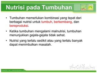 Nutrisi Pada Tumbuhan Pptx