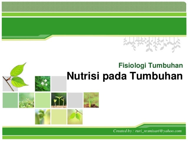 Nutrisi Pada Tumbuhan