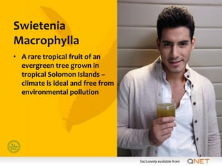 Swietenia
Macrophylla
• A rare tropical fruit of an
  evergreen tree grown in
  tropical Solomon Islands –
  climate is ideal and free from
  environmental pollution
 