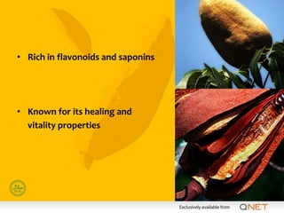 • Rich in flavonoids and saponins




• Known for its healing and
  vitality properties
 