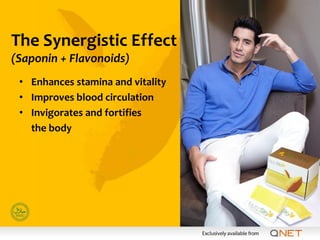 The Synergistic Effect
(Saponin + Flavonoids)
 • Enhances stamina and vitality
 • Improves blood circulation
 • Invigorates and fortifies
   the body
 