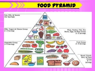 Food Pyramid
 